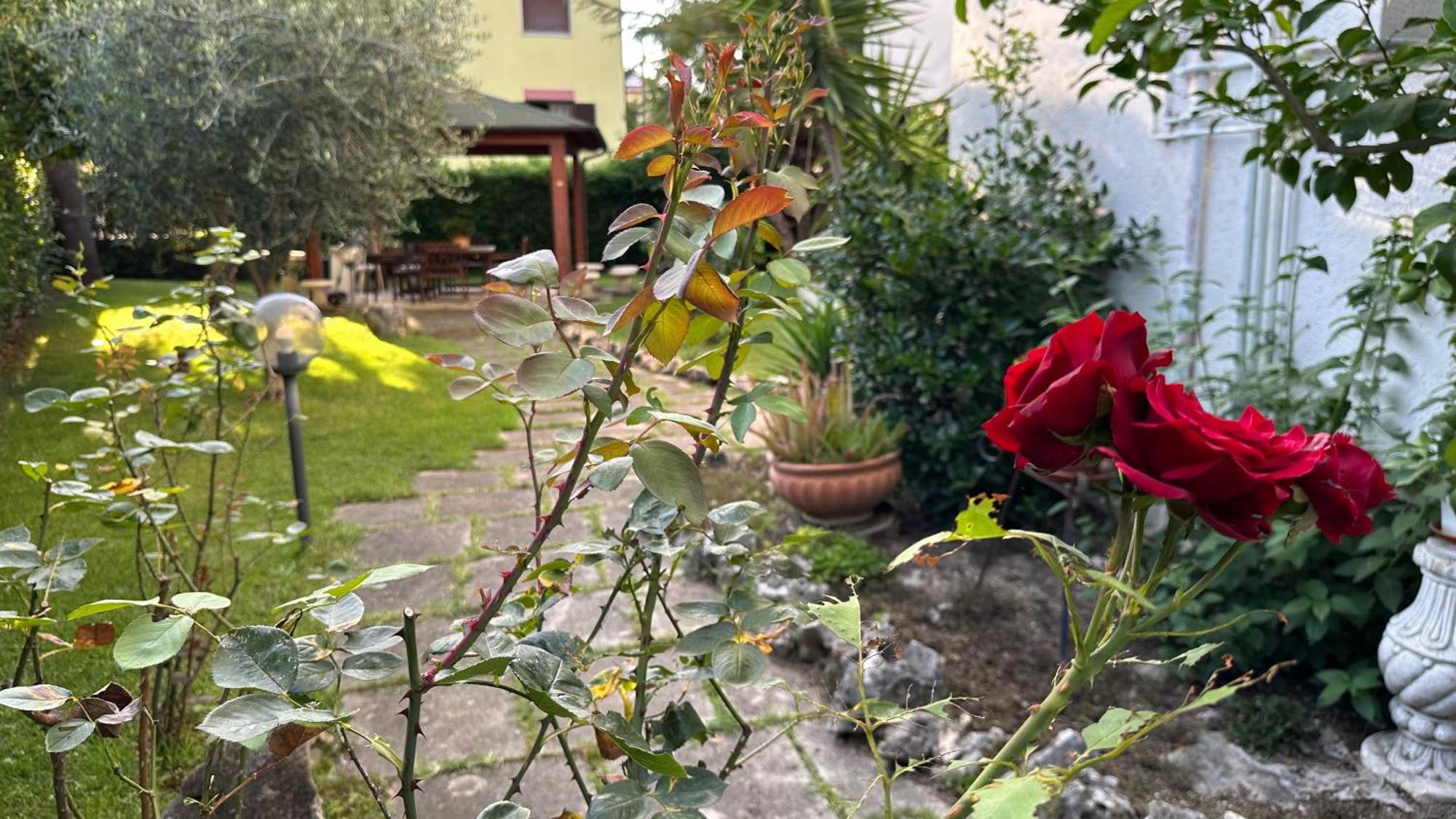 La Casa Di Gemma B&B Villa Vomano Εξωτερικό φωτογραφία